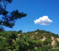 包含1嬙嵛4V*囨瞃?g懯隥髆愪袿?XdX#鬱锈w禵l的词条